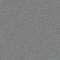 Johanna Brand nkululeko masuku