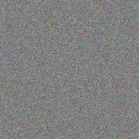 Johanna Brand nonhlanhla herbst