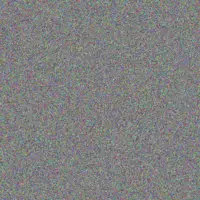 Johanna Schutte stuart jansen van rensburg