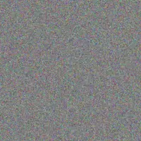 Johanna Steyn barend fredericks