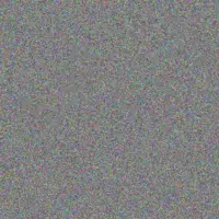 Johannes Schoeman johannes stevens