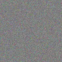 Johannes Schoeman shawn olivier