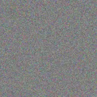 Johannes Van Schalkwyk clifford clark