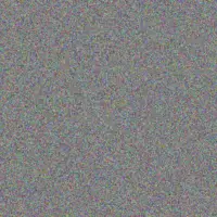 Johannes Van Schalkwyk tshepiso fourie