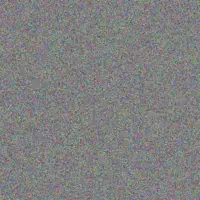 Josianne Schaefer eliezer bartoletti