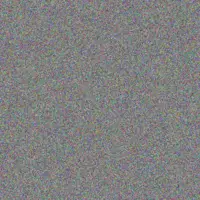 Josianne Schaefer meta connelly