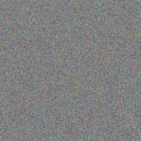 Josianne Schaefer shayne dickinson