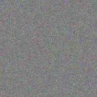 Jovany Erdman brianne bergnaum