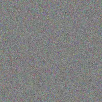 Jovany Erdman giovanny metz