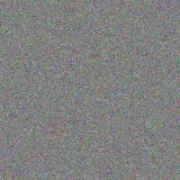 Judith Makhanya nonkululeko fourie