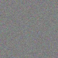 Judith Makhanya shawn ntuli