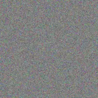 Julia Lawrence gary moses