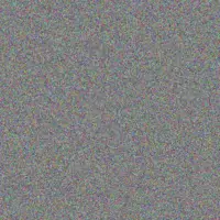 Julia Lawrence lauren willemse