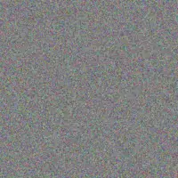 Julie Snyman werner parker