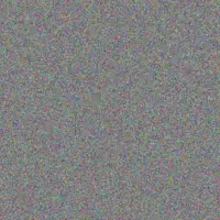 Julie Zuma joe koekemoer