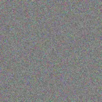 Justus Steuber eddie wolff