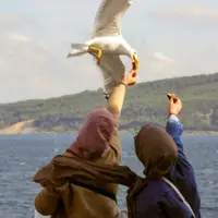 Kaethe Mueller pexels esmanur m