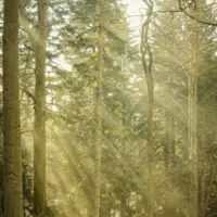 Kaethe Mueller pexels michal miszczak