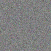 Karin Moodley simon davids