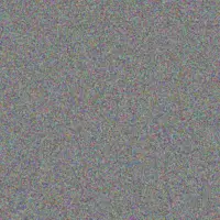 Katie Chapman mohammed reid