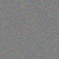 Kaylie Ebert sebastian powlowski