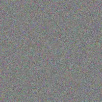 Kelly Patel barry cook