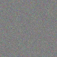 Kelly Young nicole burger