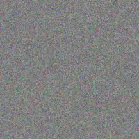 Kirsty Kelly quentin lewis