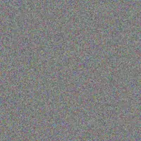 Kirsty Kelly zach holmes