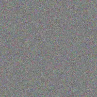 Lauren Paul mbali williams