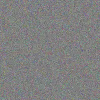 Lauren Smit graham hoffman