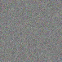 Lauren Wolmarans chantel de wet