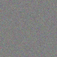 Lauren Wolmarans gordon sibanda