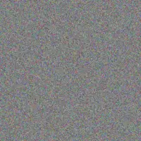 Lauryn O'Conner javier schoen