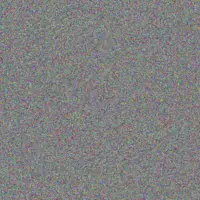 Lebohang Lewis charl mohamed