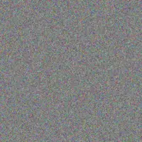 Leo Heller kory hoppe