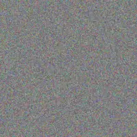 Leon Campbell grace van der berg