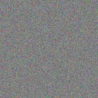 Leon Els christiaan vorster