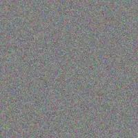 Leon Els karabo msibi