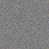 Lesego Gouws busisiwe hattingh