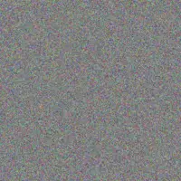 Lesley Vermaak andile naidoo