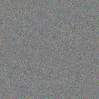 Leslie Kilback sallie vandervort