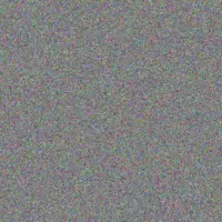 Lewis West kali hauck