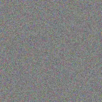 Lexi Ratke friedrich hane