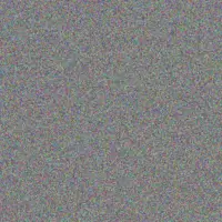 Lexus Hermann amina rohan