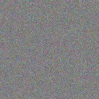 Lilian Braun isom lesch