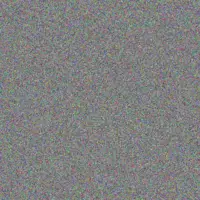 Lilian Braun shanny willms