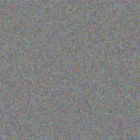 Lilly Reynolds anna collins