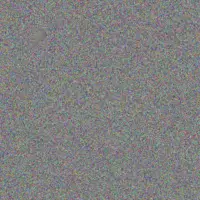 Lisa Els christiaan twala