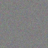 Lisa Hall brandon dreyer